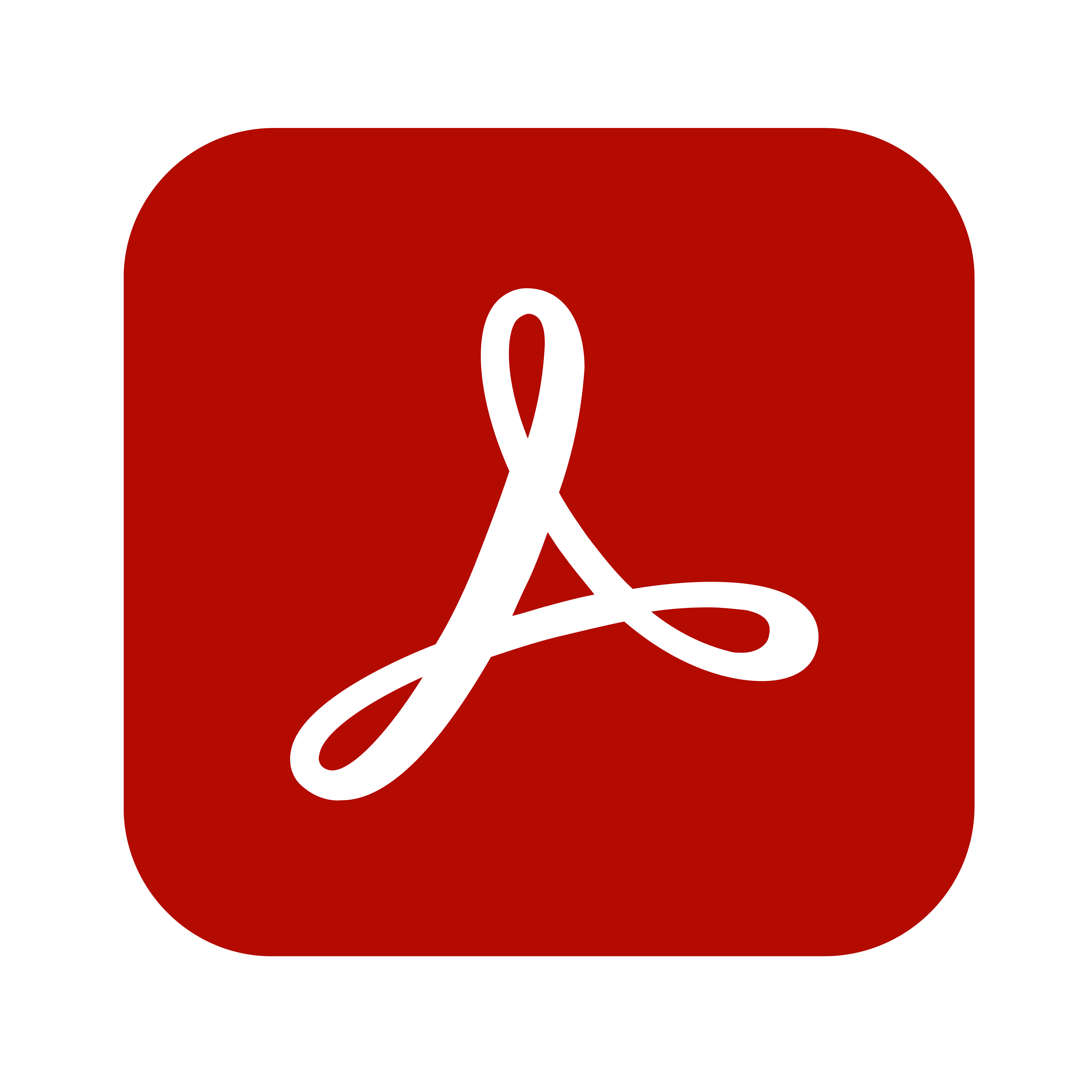Adobe Acrobat